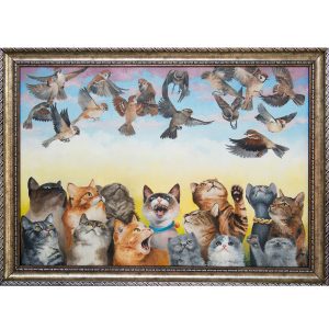 Kedi-Kuş, Kuş-Kedi
